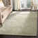 Alinde Hand Tufted Viscos/Wool Paisley Rug in Sage
