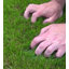 Emerald 40Mm Artificial Grass,Realistic Artifical Grass, Plush Fake Grass-5M(16'4") X 2M(6'6")-10M2