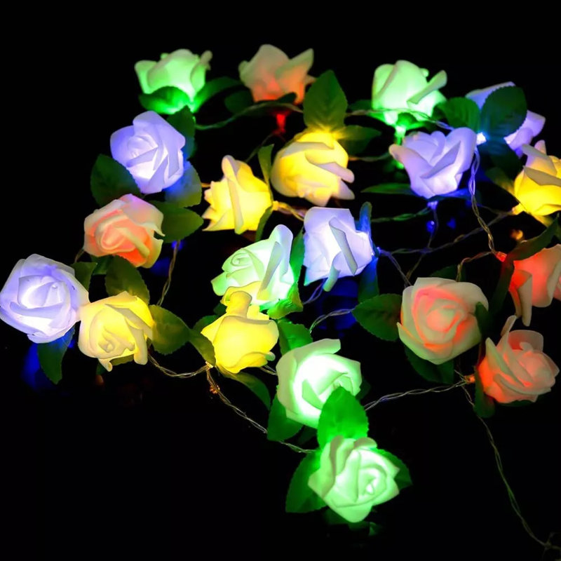 Guirlande de 20 lumières DEL Keasia