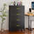 4-Drawer Black selected
