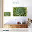 Harnek spirale succulente-111960162