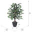 Série de ficus artificiels panachés-1288919189