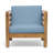 OANA CLUB CHAIR-88828810-88828809