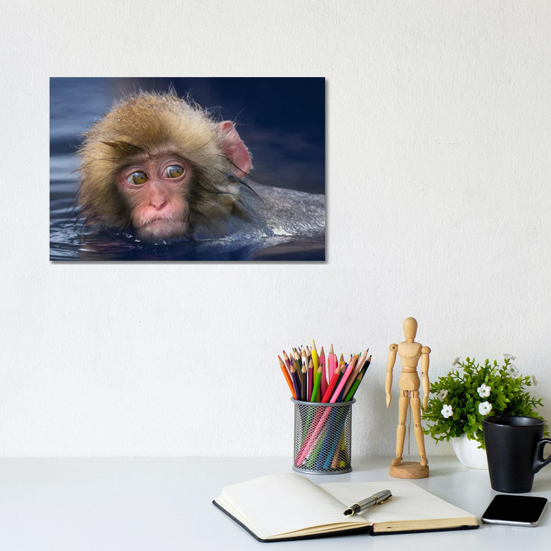 Snow Monkey Youngster In Hotspring by Mogens Trolle - Wrapped Canvas Print, 20.32 cm H x 30.48 cm W