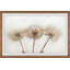 Dandelion Trio - Single Picture Frame Painting-1876265621