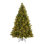 Carolina Flocked/Frosted Christmas Tree