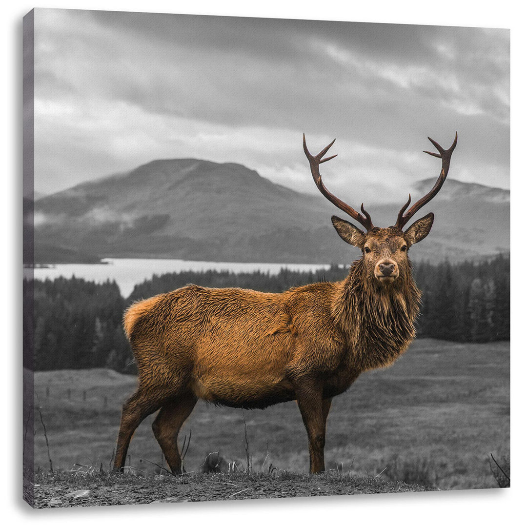 Leinwandbild Stag in Stunning Landscape