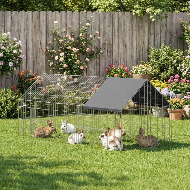 Chicken Cage