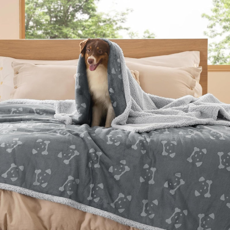 Jeté de lit imperméable pour petits chiens et chats, housse réversible imprimée en molleton Sherpa, L 80 po x l 60 po, Gris