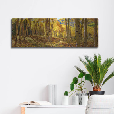 " Autumn Aspen Forest Colorado Panorama " by Lena Owens