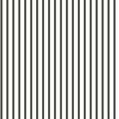 Franklinville 10m x 53cm Matte Paste the Wall Wallpaper Roll