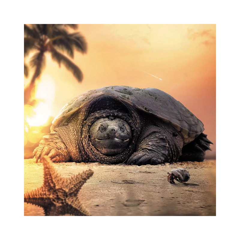 " Tortoise " by Zenja Gammer, Wrapped Canvas, No Matte, 37" H x 37" W x 1.5" D