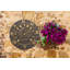 Times & Seasons Thermometer-840688210