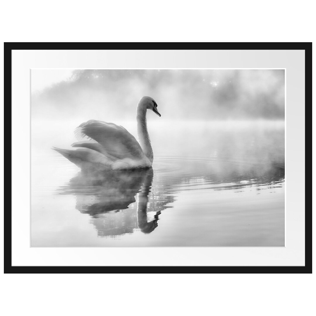 Gerahmtes Poster Schwan im Morgennebel