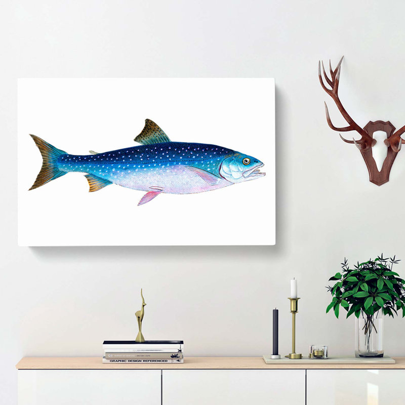 Alpine Charr Fish - Wrapped Canvas, 50cm H x 76cm W x 3cm D