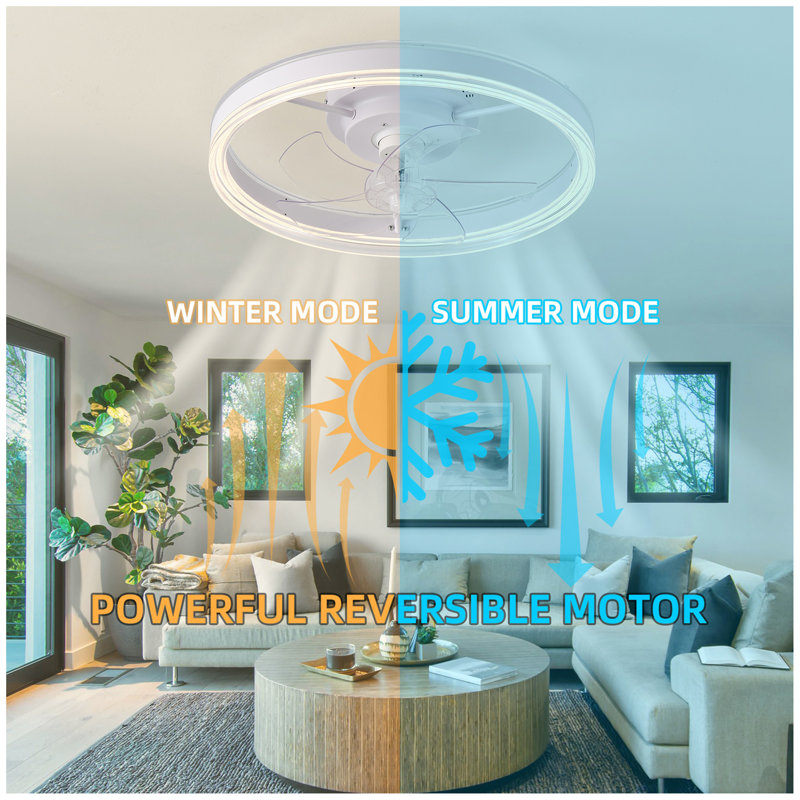 19.7 Inches Fan Light RGB Colour Lights Three Colour Temperature 6-Speed Adjustable Wind Power Positive And Negative Rotation