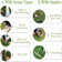 Fasward Outdoor Artificial Grass