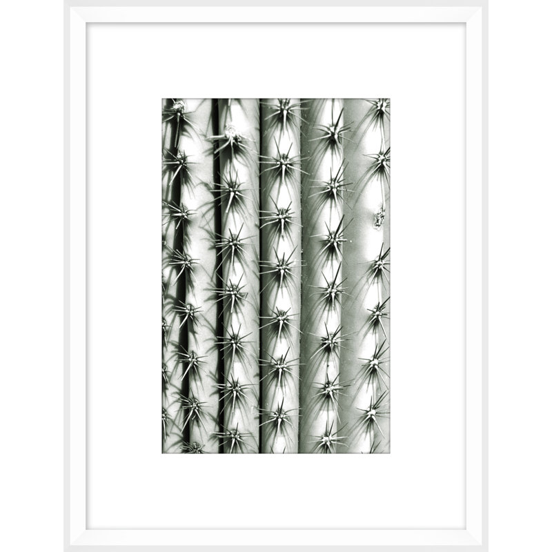 Silver Spike Small 3 Framed Photographic Print