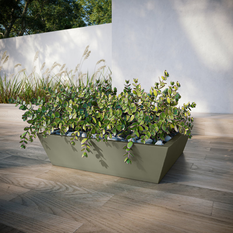 Newport Shallow Concrete Planter , SandStone, 6" H x 24" W x 24" D