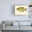 «Rock Bass On Canvas» par Print Collection-351420546