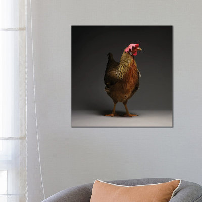 Leghorn - Wrapped Canvas Print