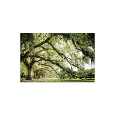 " Southern Grace " Painting