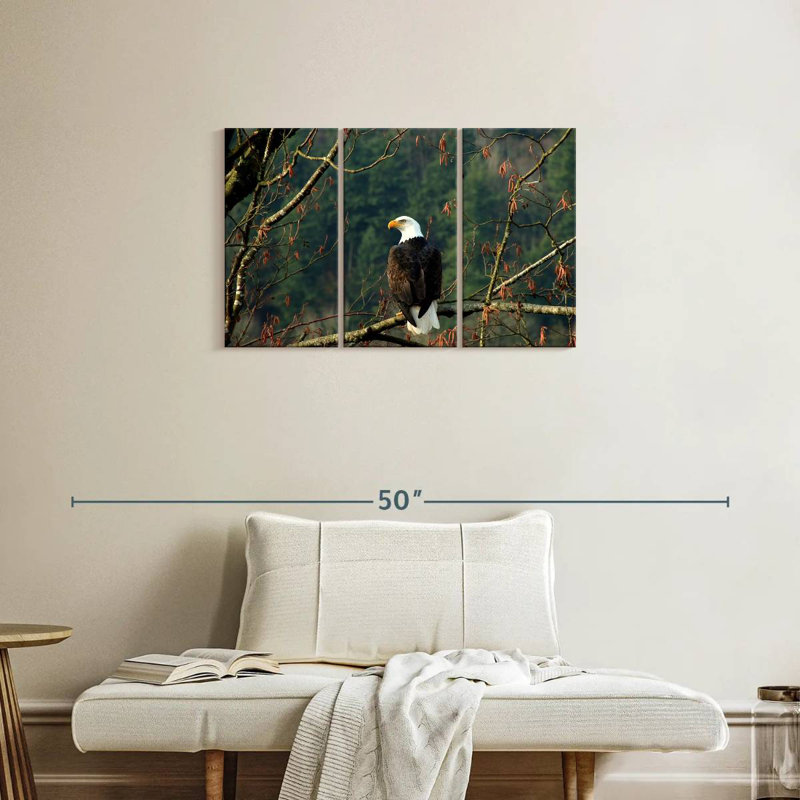 Brampt Perched Canadian Bald Eagle, 20" H x 33" W