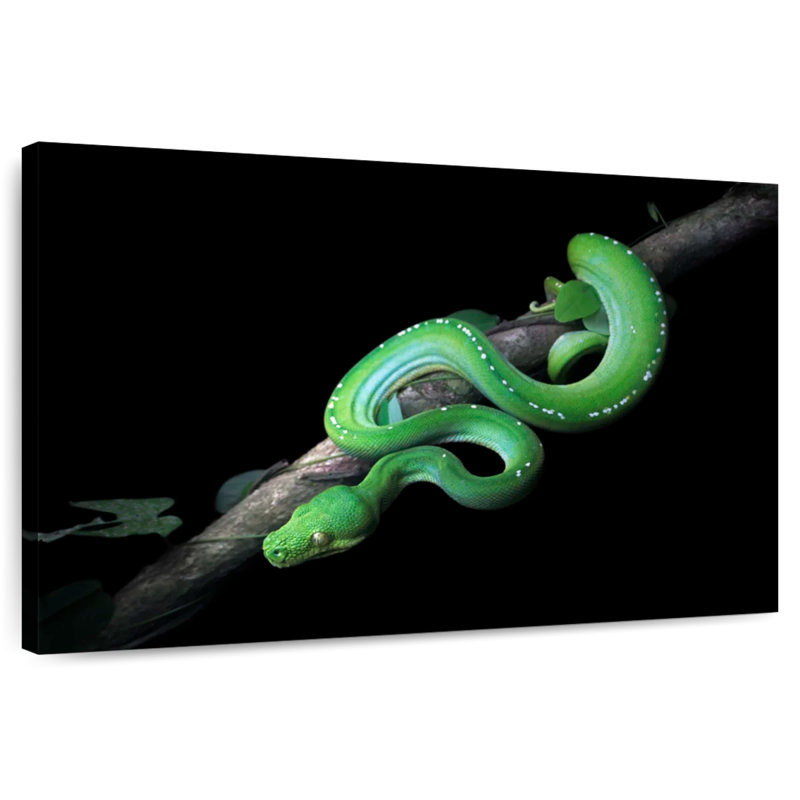 Python vert Brampt glissant sur une branche, H 8 po x l 12 po