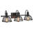 3 - Light Dimmable Vanity Light