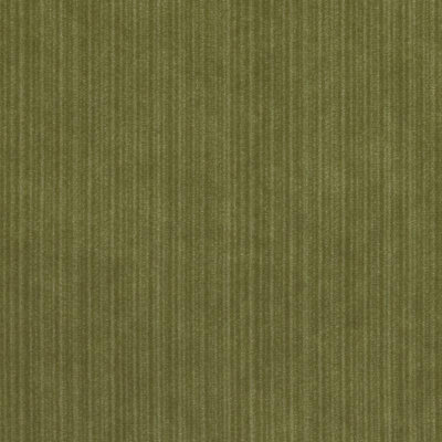 Tissu velours encyclopédique IV
