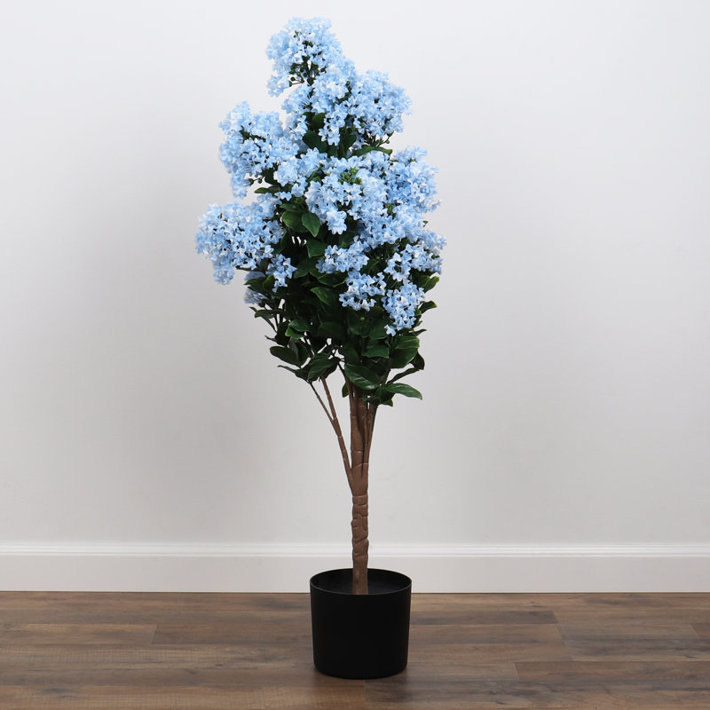 Lilas en pot - moyen, Bleu