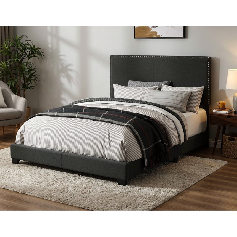 Lit tapissier standard Cialan, Simple, Gris anthracite