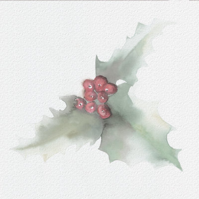 Holly - Wrapped Canvas Painting