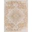 Oriental Indoor / Outdoor Area Rug-1246272669
