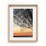 Sunset Tree Print by Joseph Regan