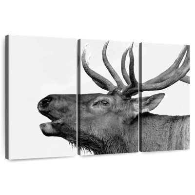 Brampt Deer Call