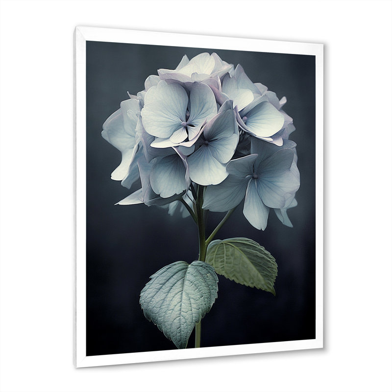 Hydrangées noires et blanches sur une reproduction sur toile, Cadre photo blanc, H 40 po x l 30 po x P 1 po