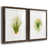 Walnut Framed Paper