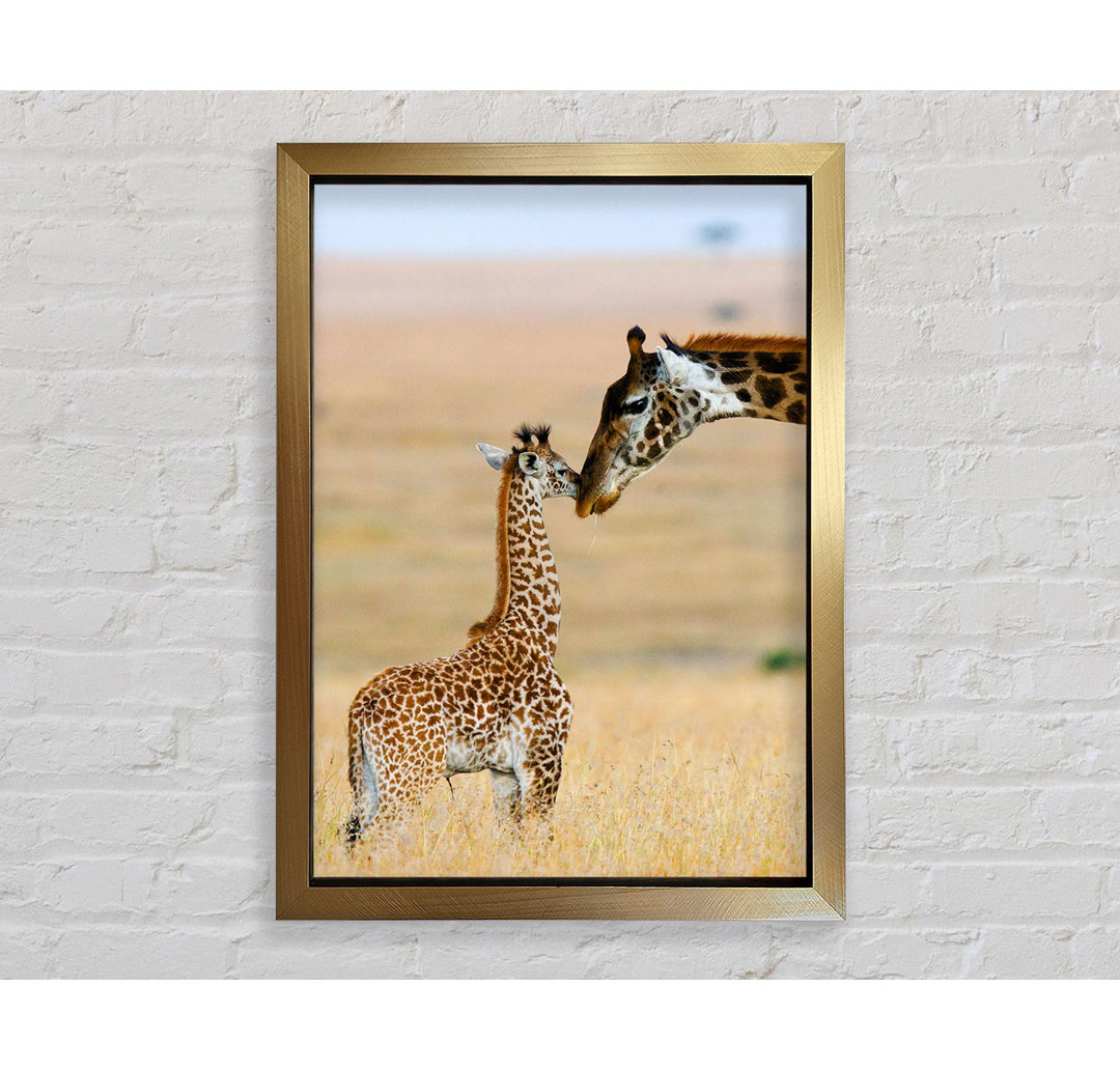 Baby Giraffe Liebe - Druck