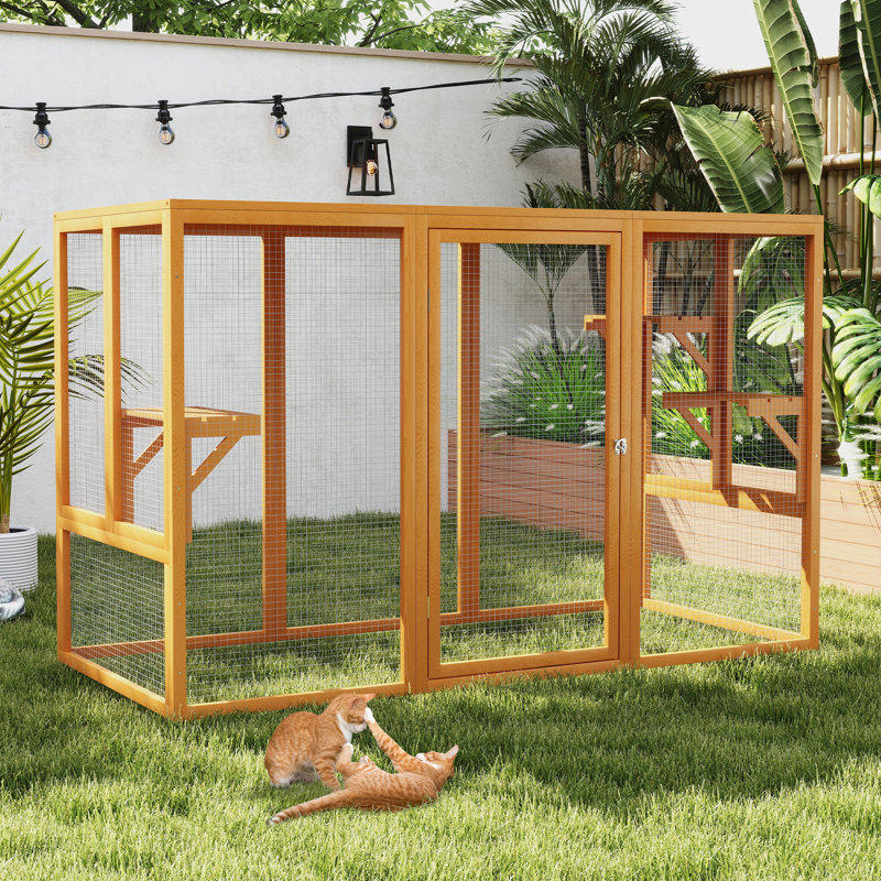 Cat Cage