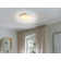 Hotze LED Flush Mount