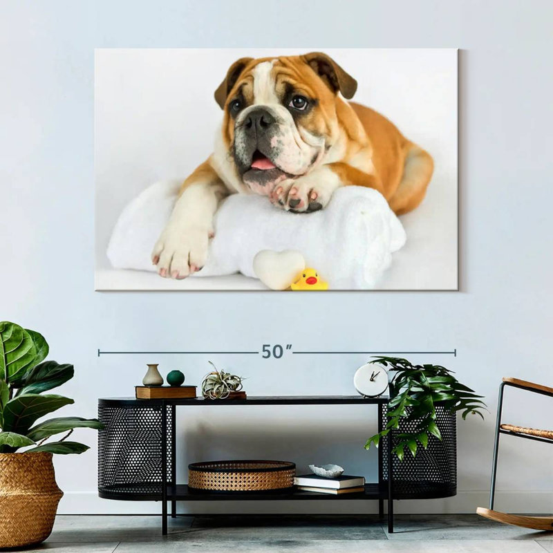 Brampt Donald I, 34" H x 51" W