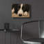 «Border Collie Love» par John Silver-614765560