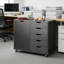 Mobile File Cabinet With 5 Drawers & Printer Stand
