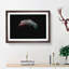 Moon - Picture Frame Graphic Art Print-55732184-55732185