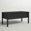 Table basse à 4 pieds avec plateau relevable et rangement Carmenita-646900238