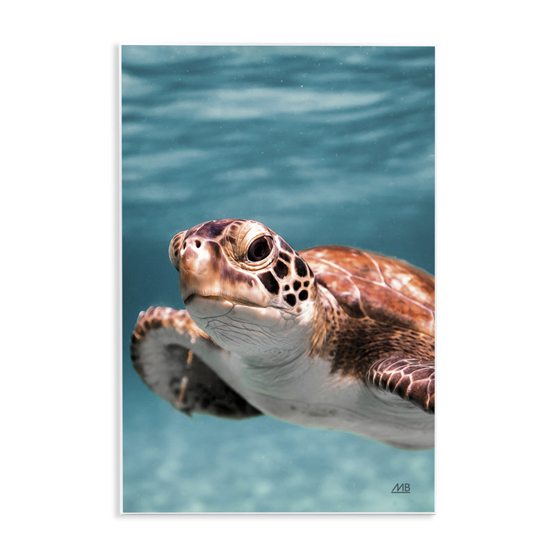 Art mural de tortue de mer sous l'eau par Max Blakesberg Studios, H 15 po x l 10 po