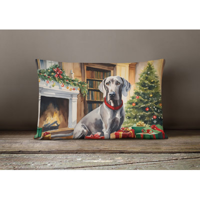 Outdoor Throw Pillow