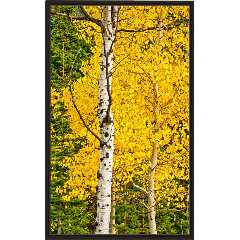 «Sunny Blooms», reproduction de photo, H 33,5 po x l 21,5 po x P 2 po, Cadre flottant espresso