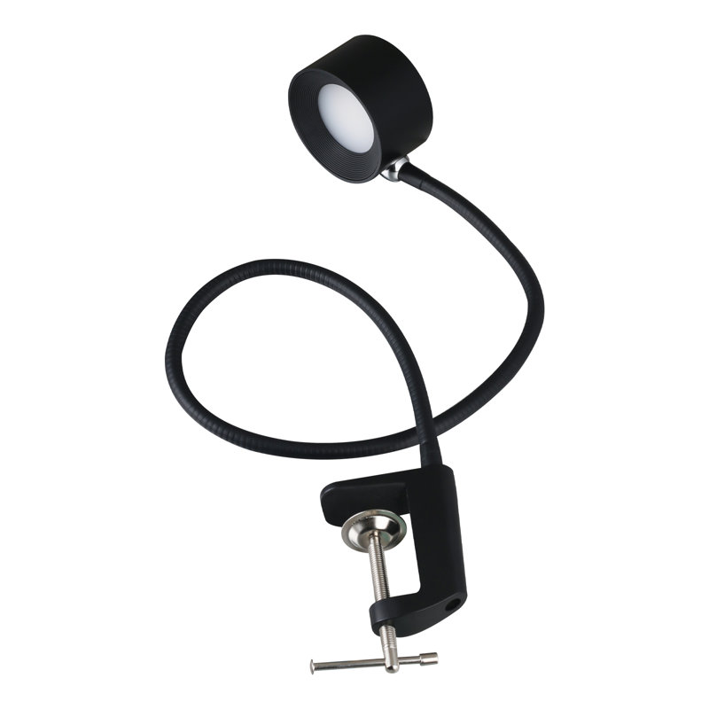 Dynasha Clip On Lamp